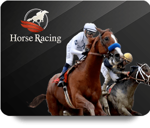 Exploring the Best Features of Hi88 Casino Royal Today